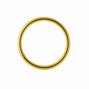 Agate - Titanium Clicker Ring F136 - Silver Finish - 0.8*10mm