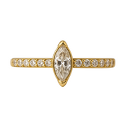 Evangeline - Anneau Clicker - Finition Or - 1.2*10mm - Zircon Blanc