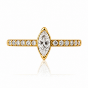 Evangeline - Anneau Clicker - Finition Or - 1.2*12mm - Zircon Blanc